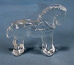 Crystal Fjord Horse